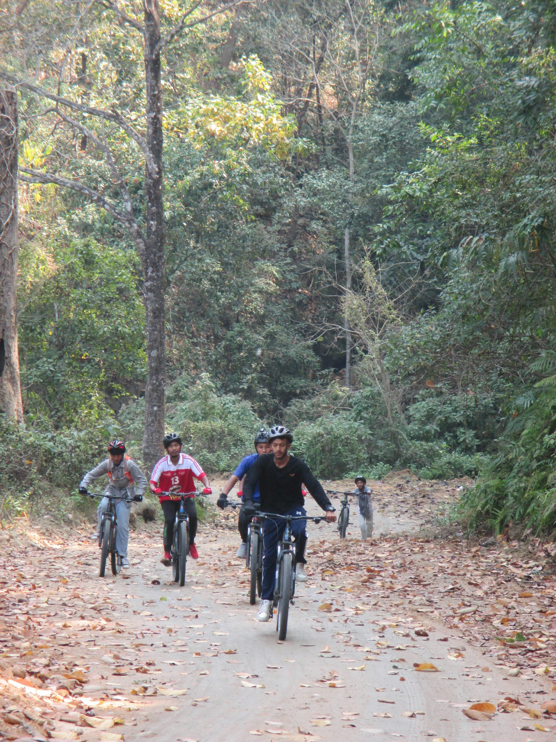a group of people riding bikes down a leaf covered road